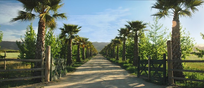 Kingston Family Vineyards