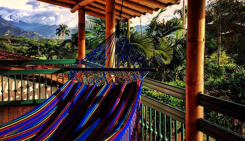 Hammock View