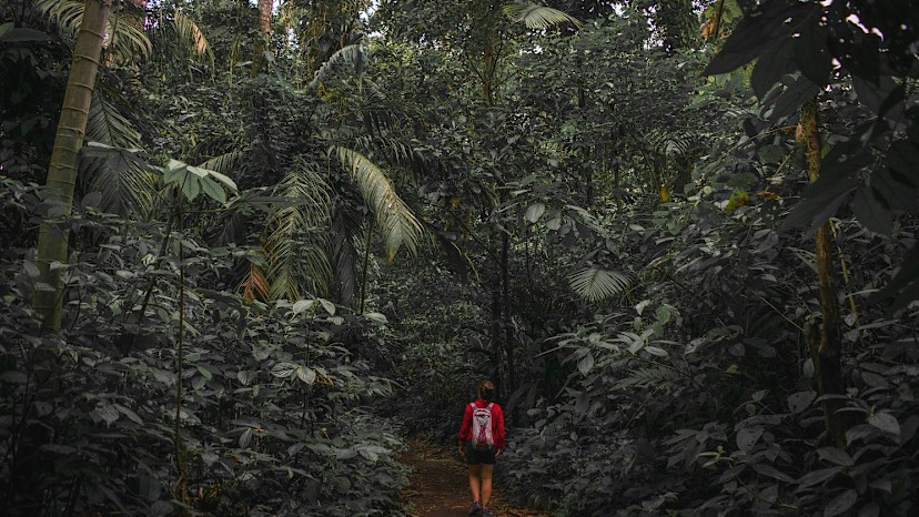 Arenal Volcano Hike