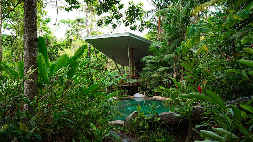 Chachagua Rainforest Hotel