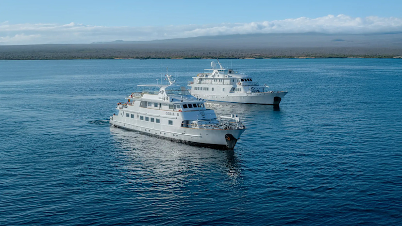 M/Y Coral I & II