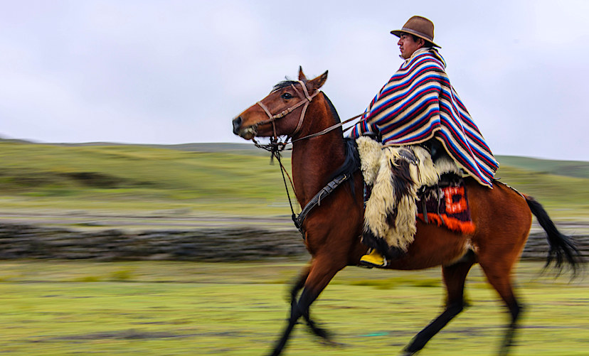 Horseback Riding