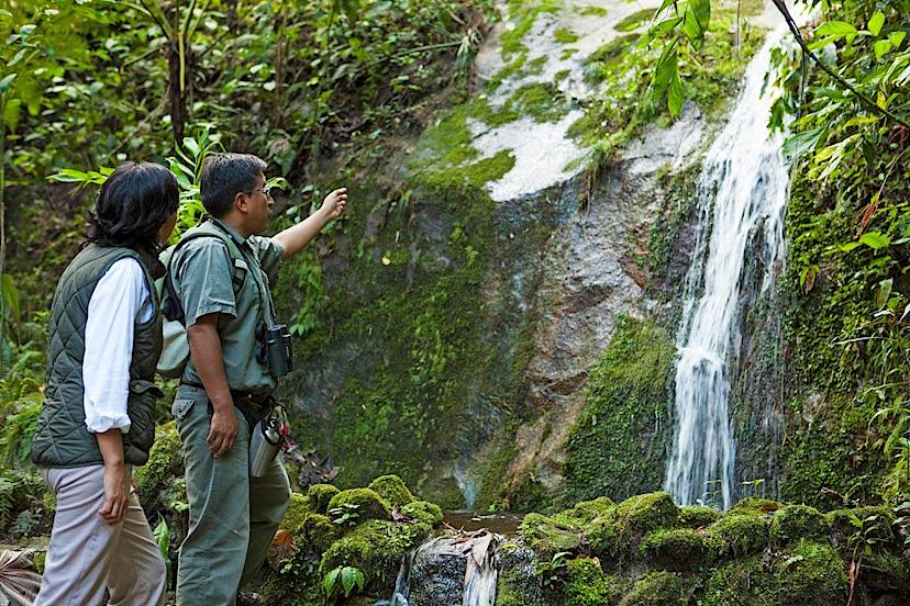 Guided Hike