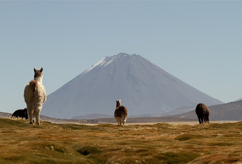 AREQUIPA TO COLCA CANYON TO PERU