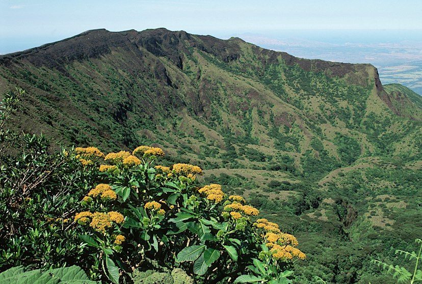 View of Rincon de La Vieja