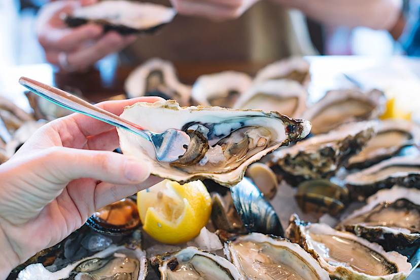 Oysters