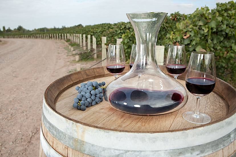 Red Wine In Vineyard