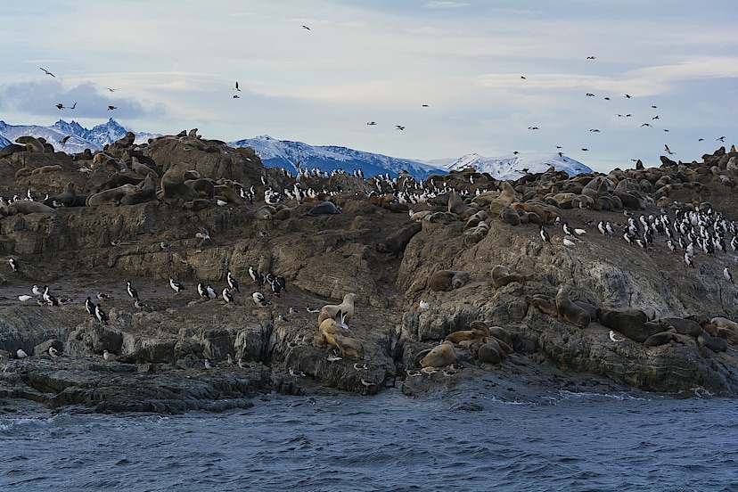 Beagle Channel