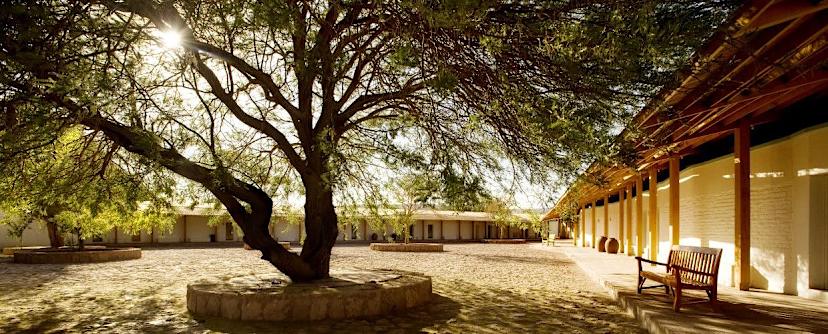 Explora En Atacama