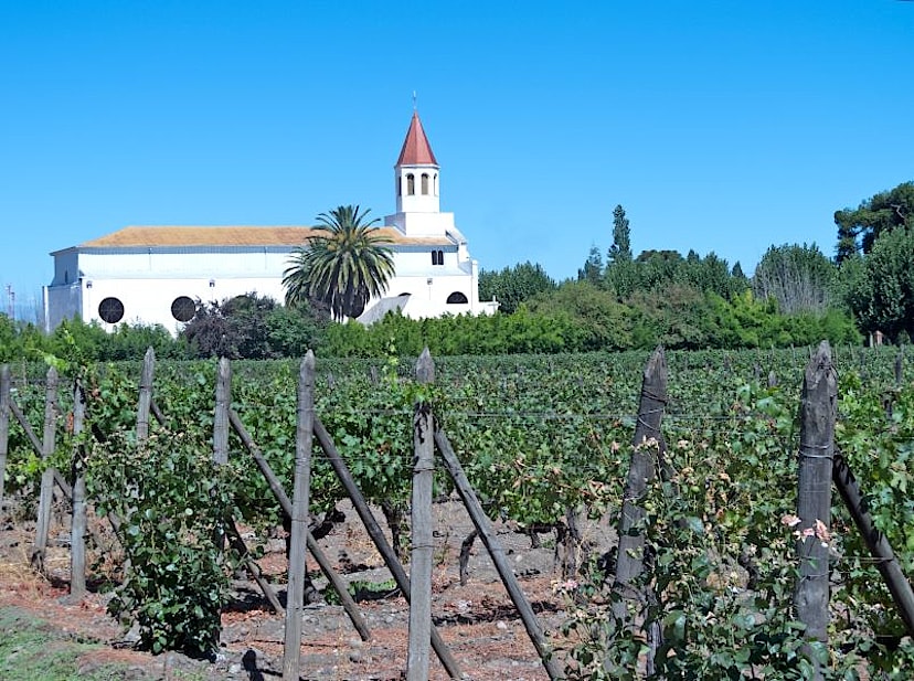 Maipo Valley Vineyard