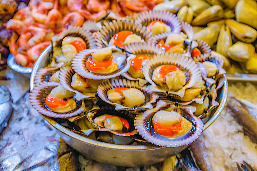 Oysters
