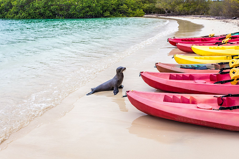 Galapagos Kayaking