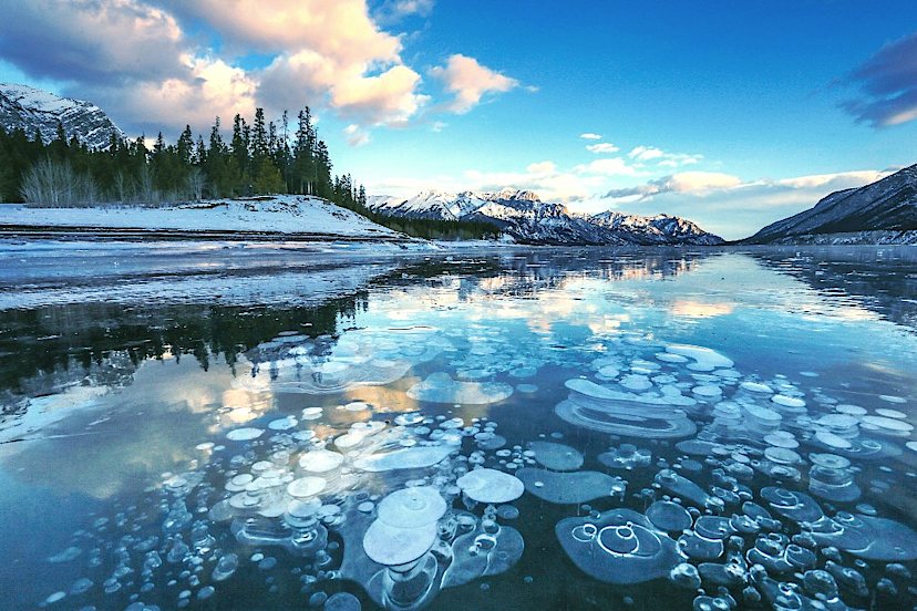 Abraham Lake Ice Bubbles