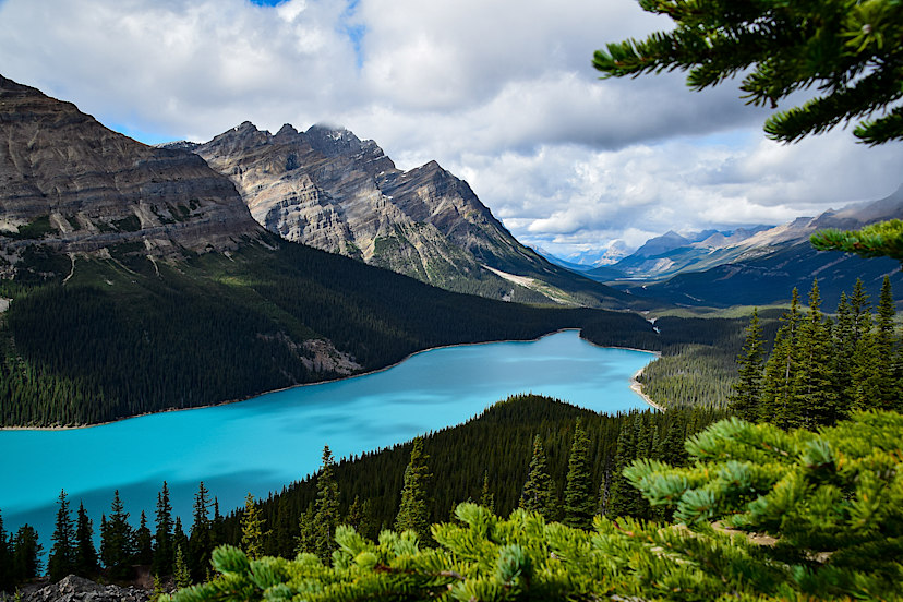 Peyto Lake