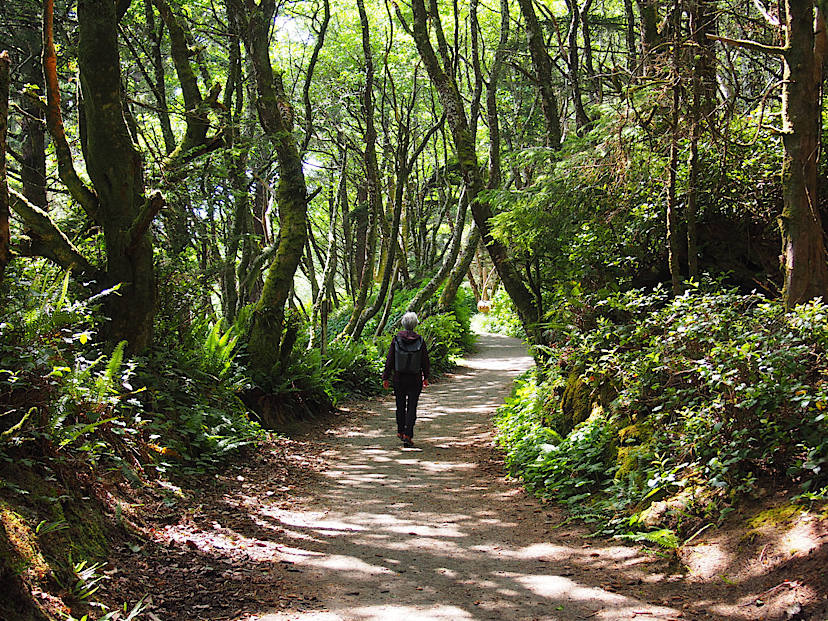 Walking the Pacific Rim Coast Trail