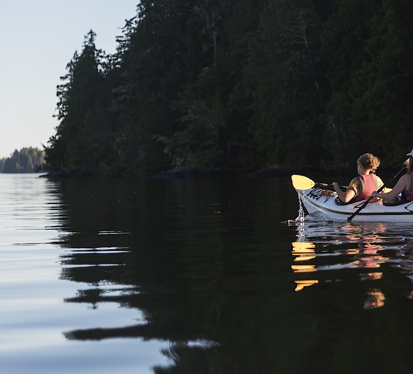 TOFINO