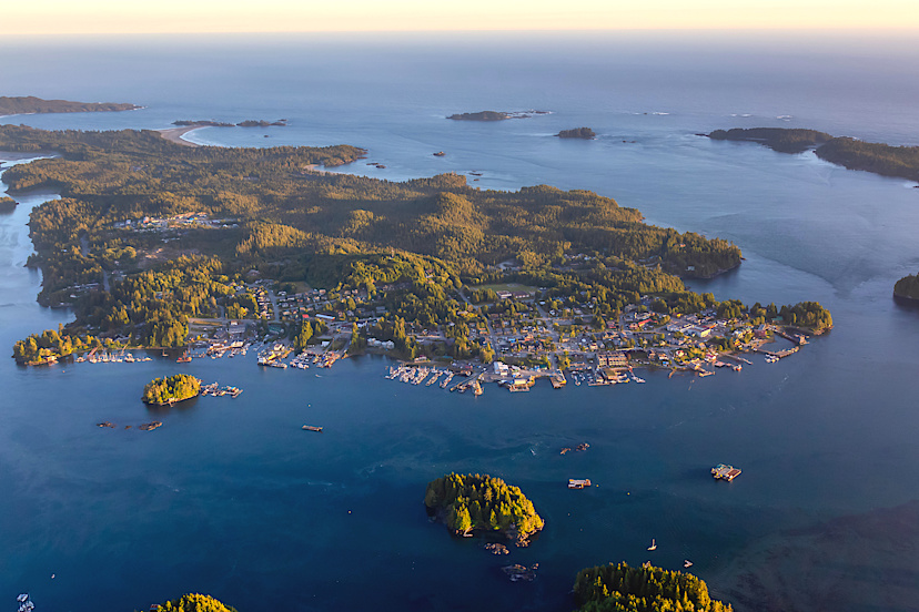 Tofino