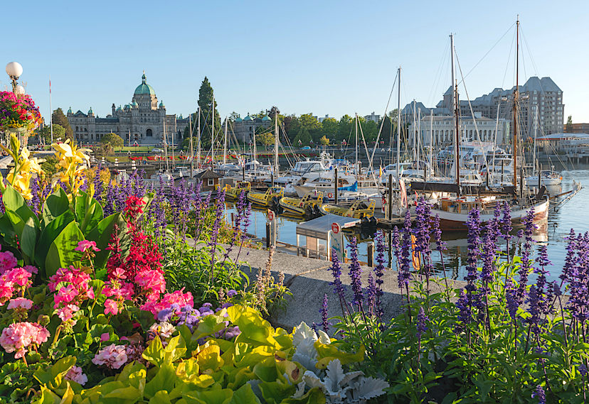 Victoria Harbour