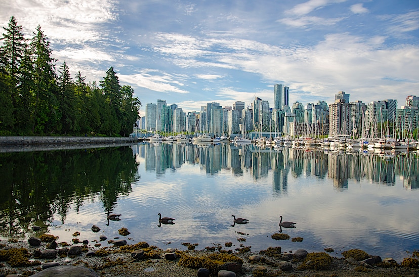 Cityscape & Coastal Charm