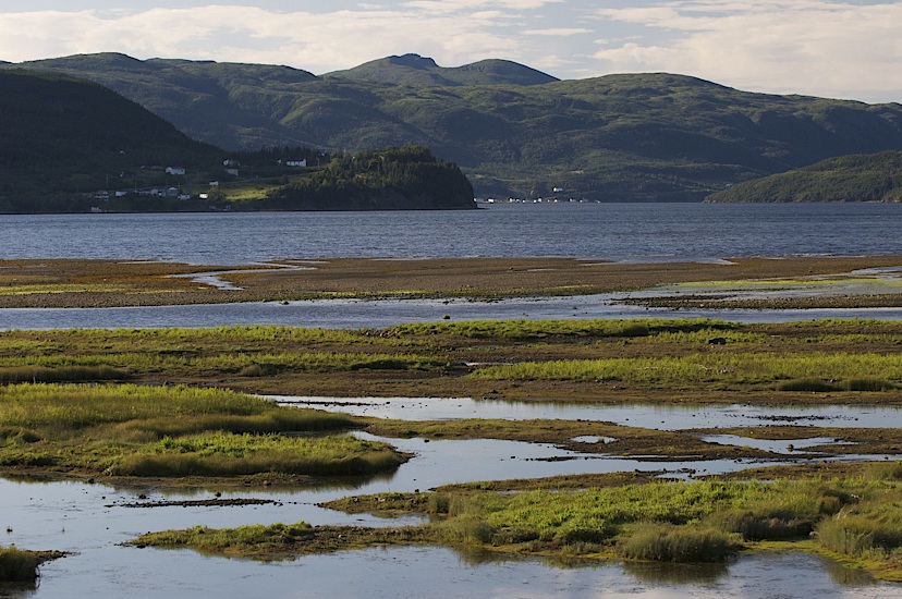 Bonne Bay