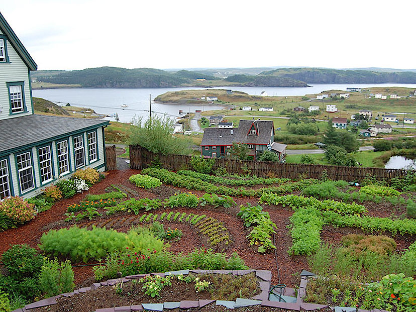 Kitchen Garden