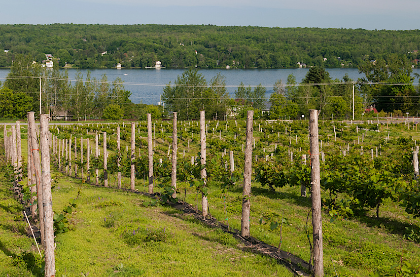 Winery with Scenic Views