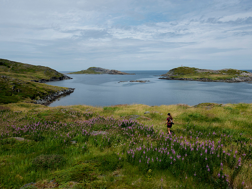 Optional: Hiking in Fogo Island