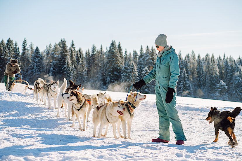 ANCHORAGE TO TALKEETNA