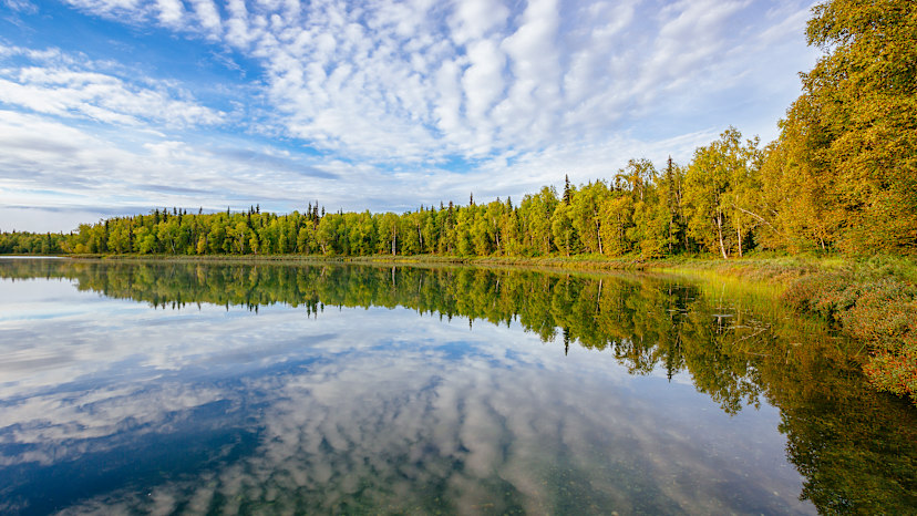 Talkeetna Lakes