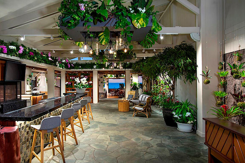 Banyan Tree