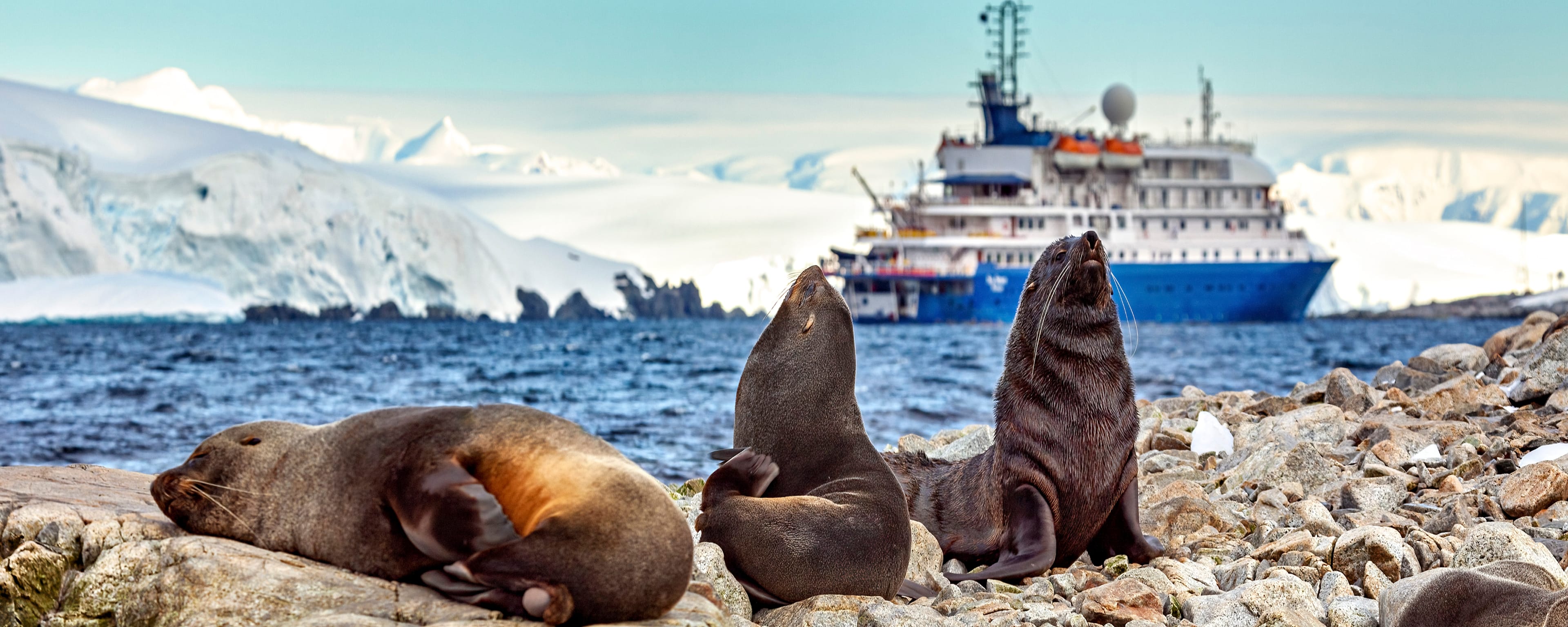 Ask a Cruise Expert: Everything You Need to Know About Polar Cruises