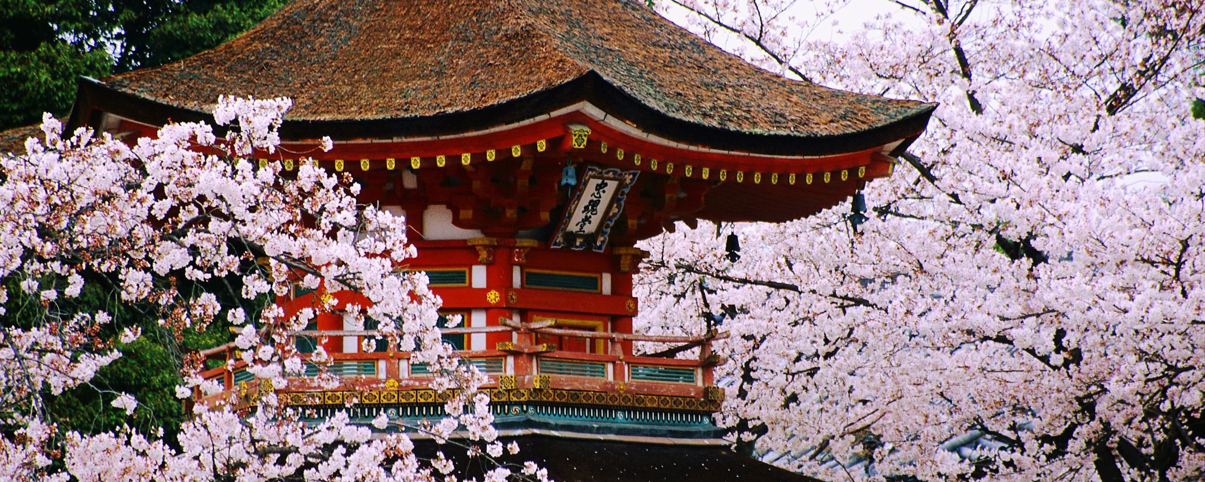  Japan Honeymoon Destinations