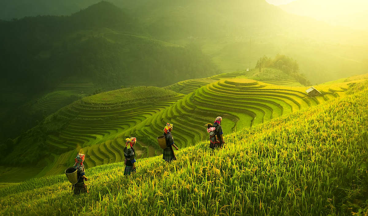Explore Vietnam with private guides and a tailor-made itinerary.