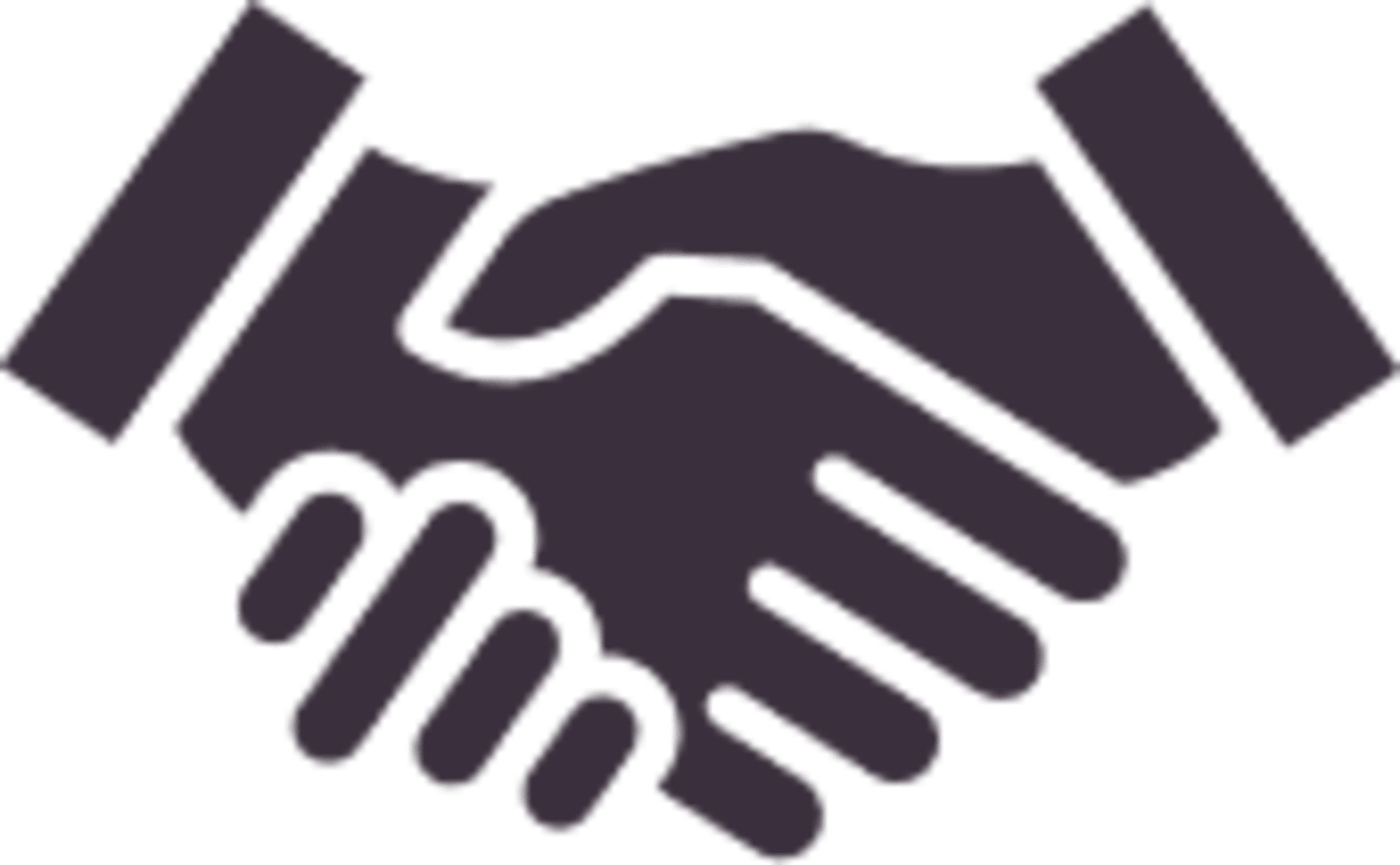 Vetted Cruise Lines, Ships and Land Partners