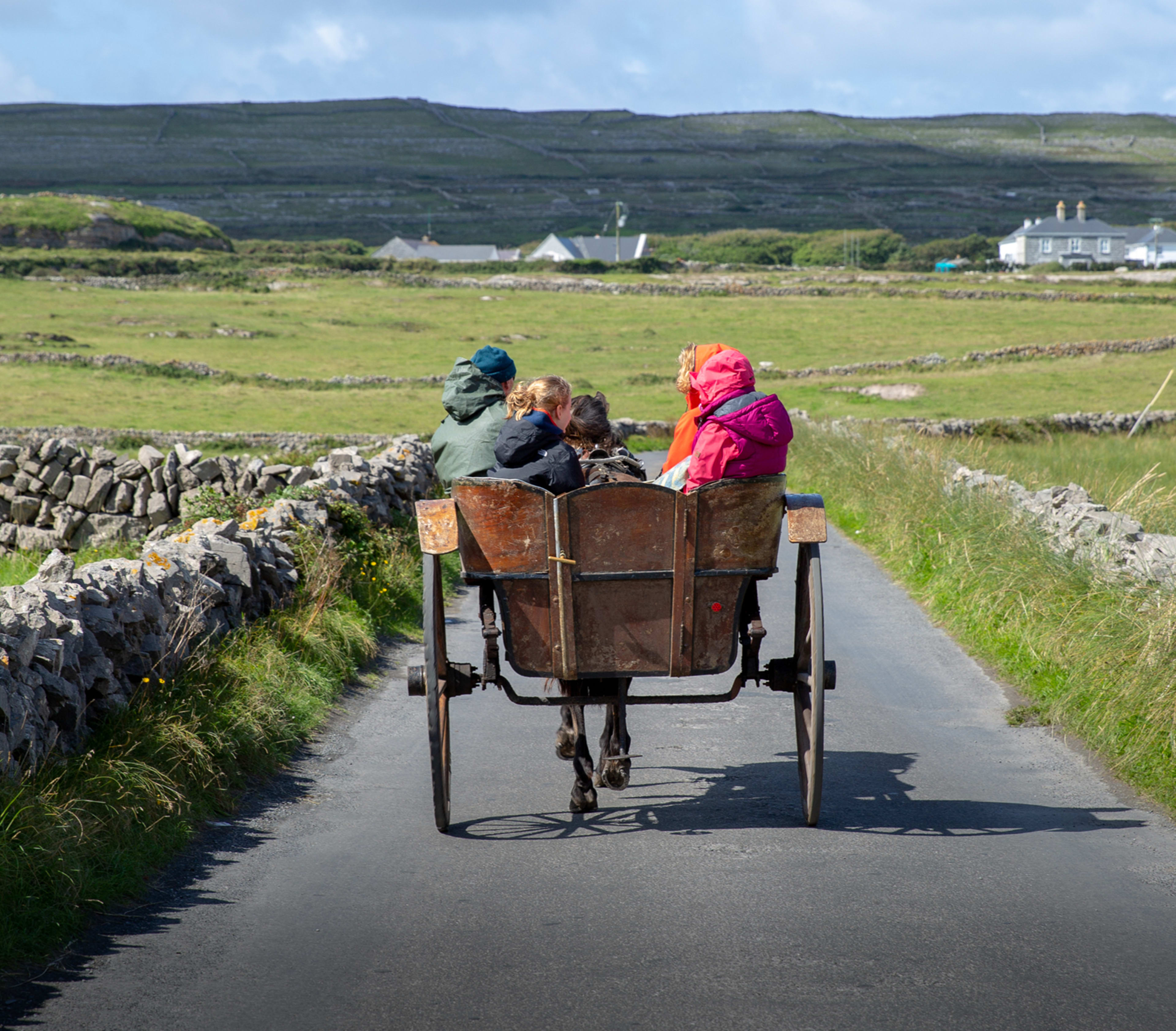 Find Your Family’s Irish Story