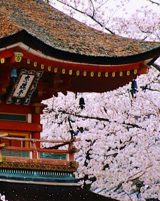 Japan Honeymoon Destinations