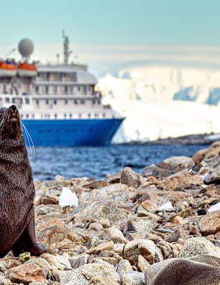 Ask a Cruise Expert: Everything You Need to Know About Polar Cruises