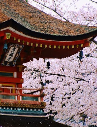 Japan Honeymoon Destinations