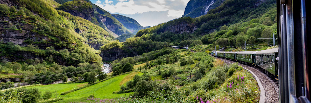 Best of Norway by Cruise & Rail