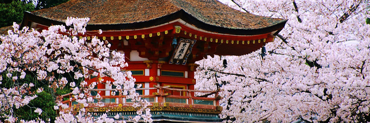 Customize your honeymoon in Japan  