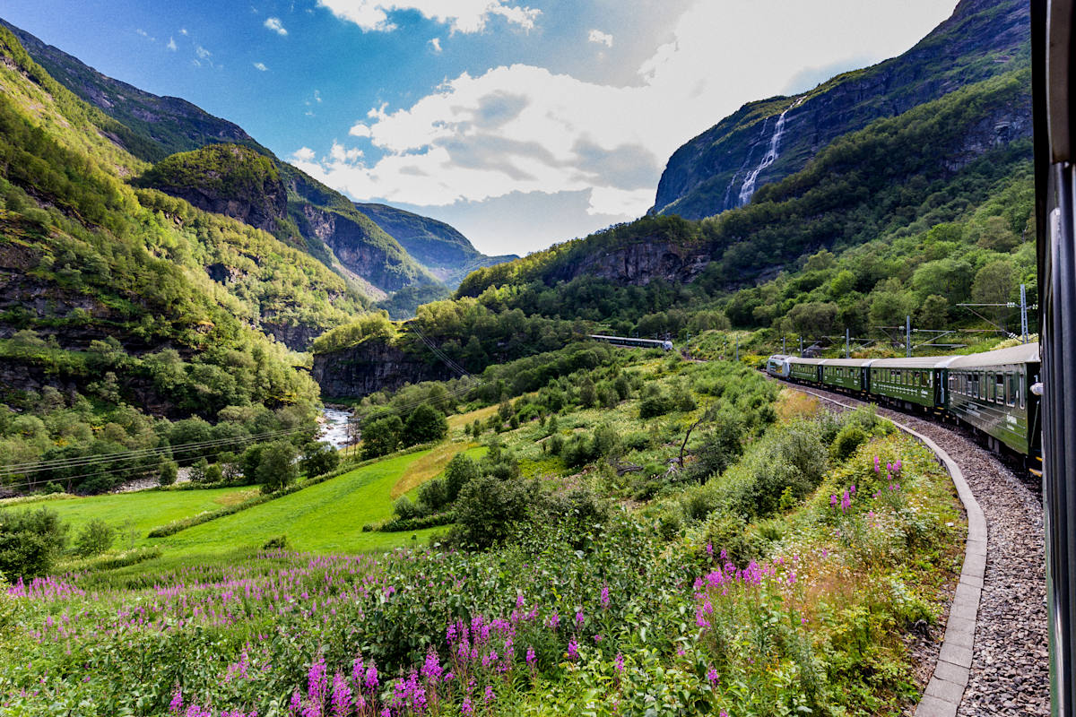 Best of Norway by Cruise & Rail