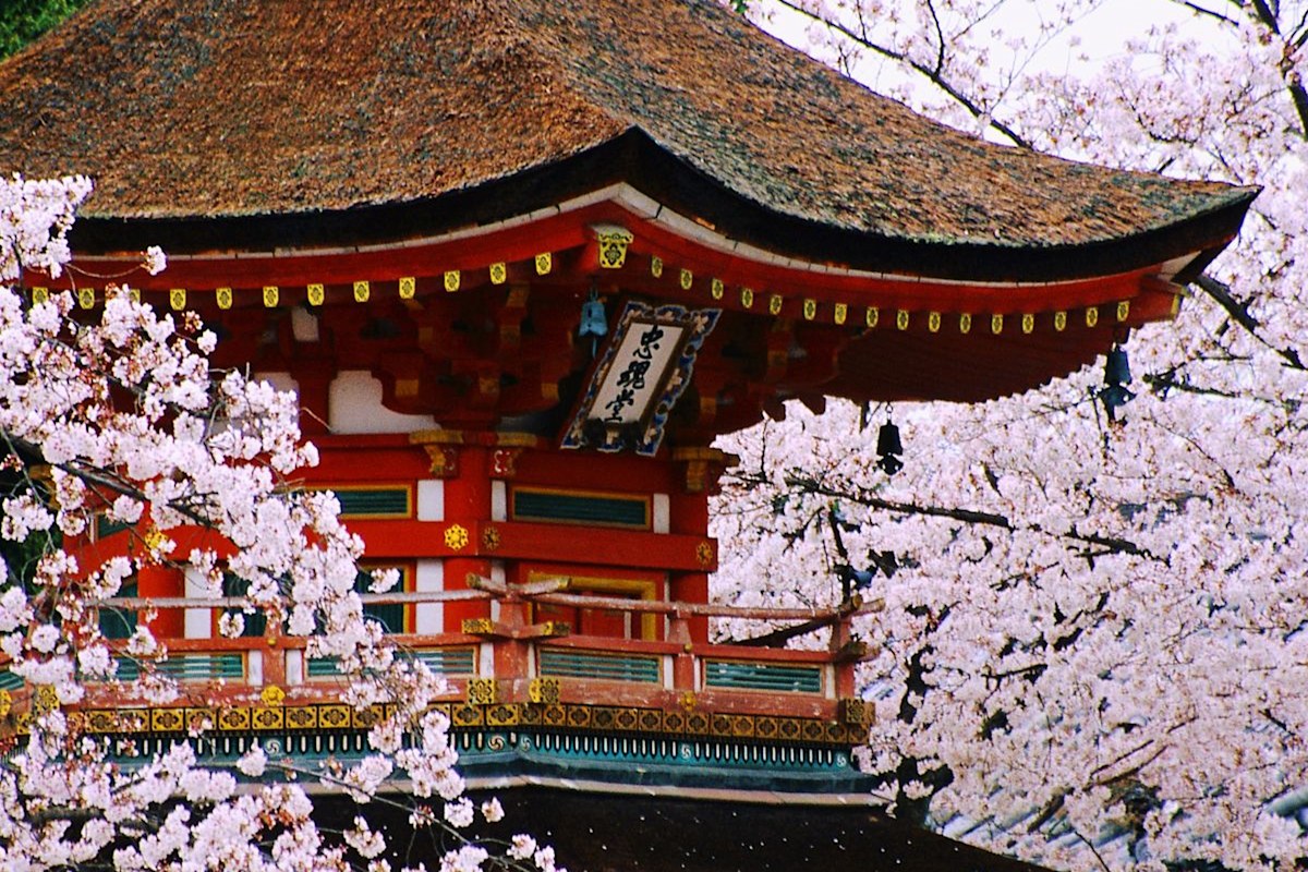 Customize your honeymoon in Japan  