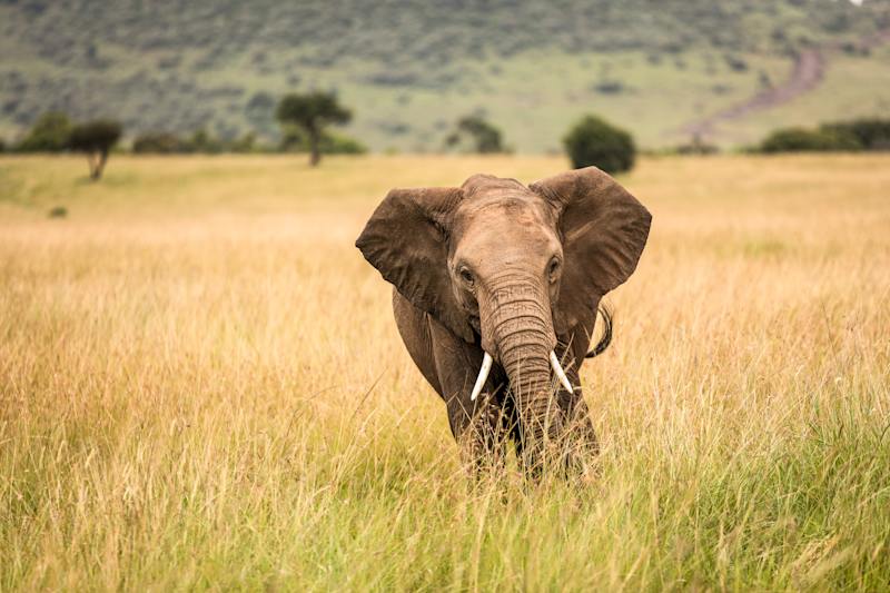 Want to build an itinerary from scratch?