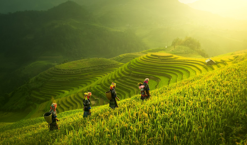 Want to build an itinerary from scratch?
