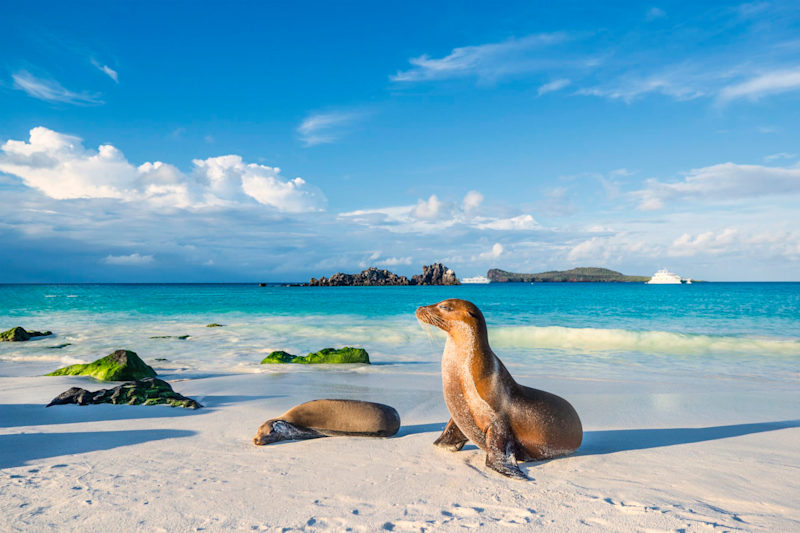 Want to build an itinerary from scratch?