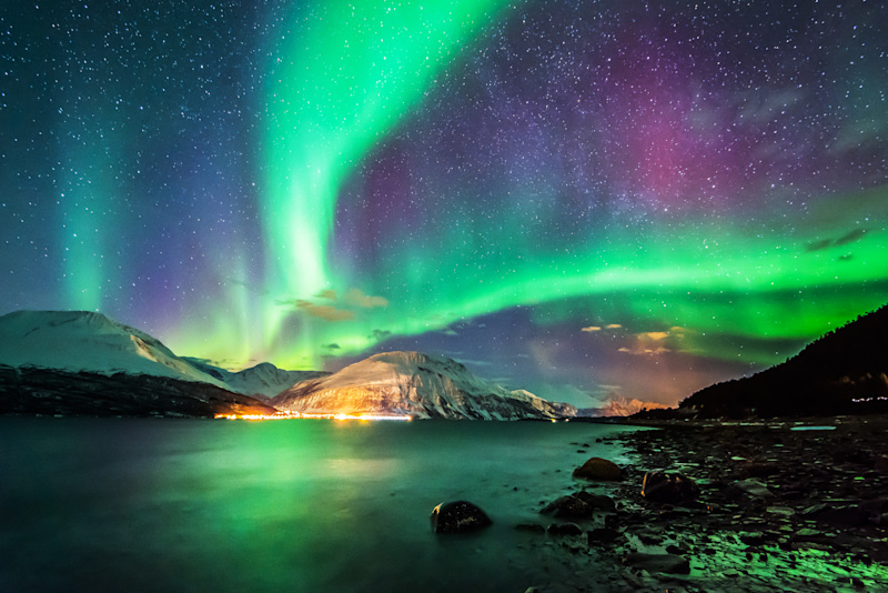 Arctic Expedition: Norway's Northern Lights