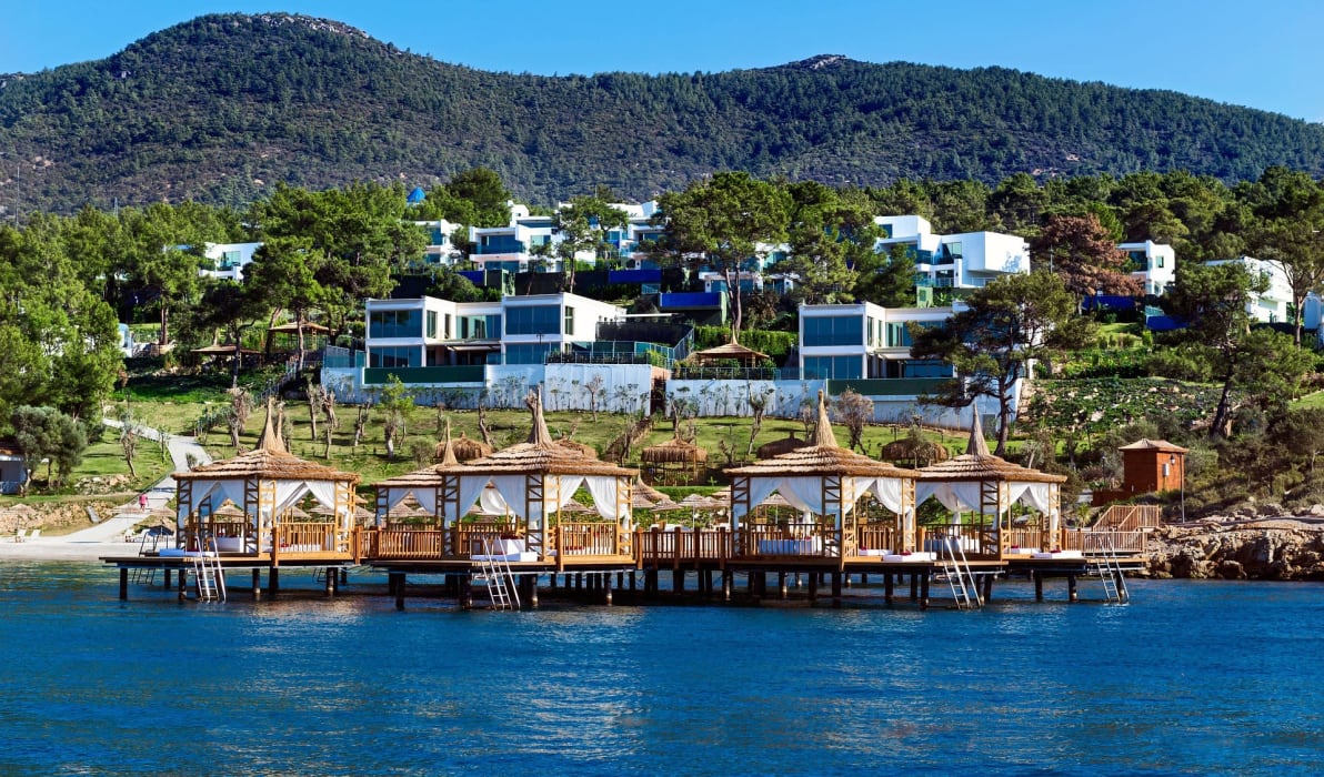 kensington tours