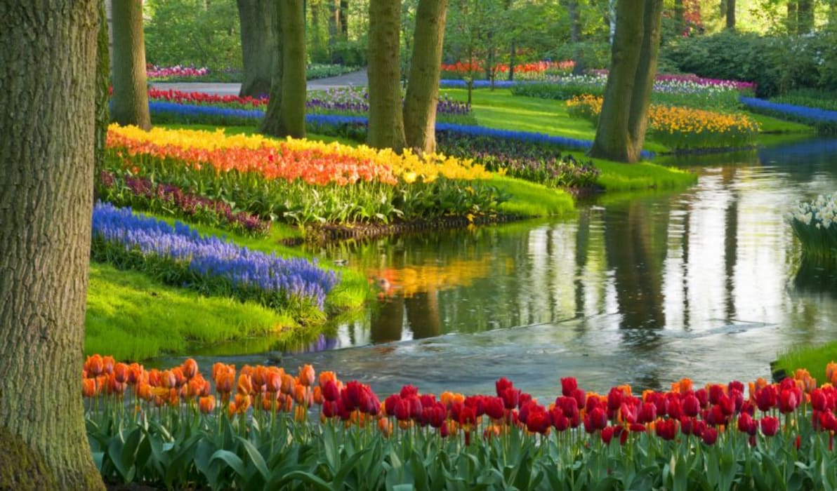 Tulips, Gardens & Keukenhof | Netherlands Tours & Luxury Travel