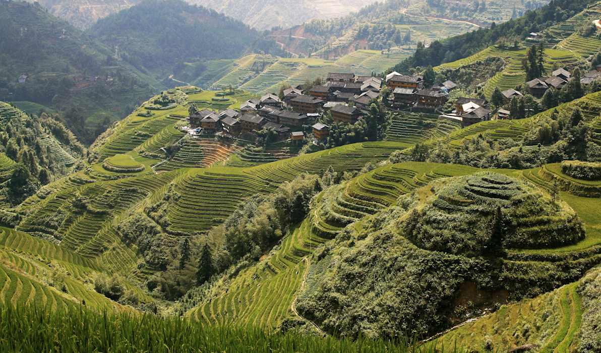 Kensington | Tailor-Made Private Tours | Award-Winning Tour Company