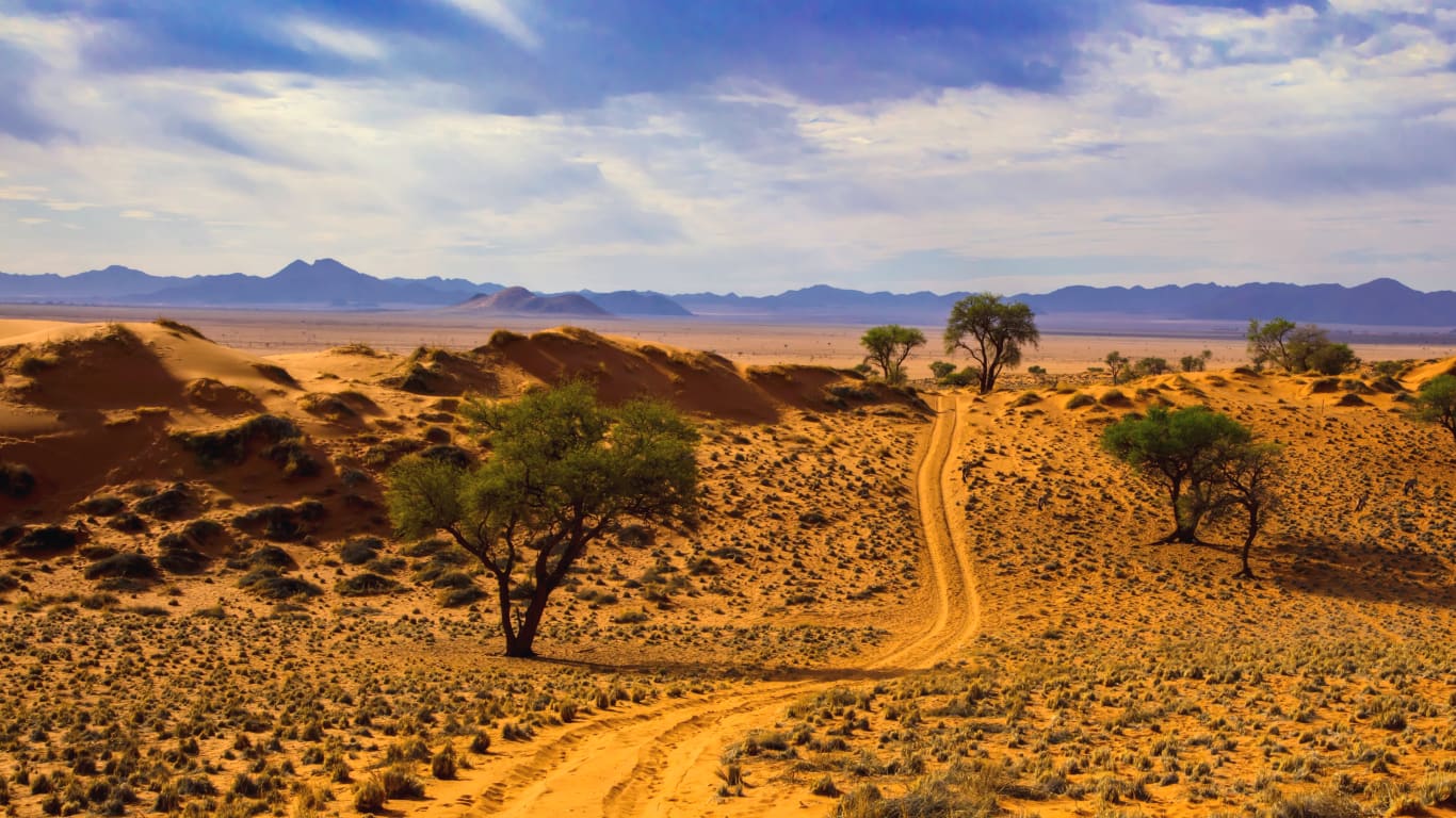 Essential Landscapes of Namibia  Namibia Tours & Luxury Travel